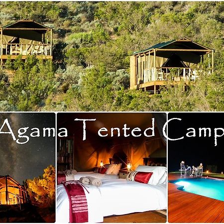 Agama Tented Camp Garies Eksteriør billede