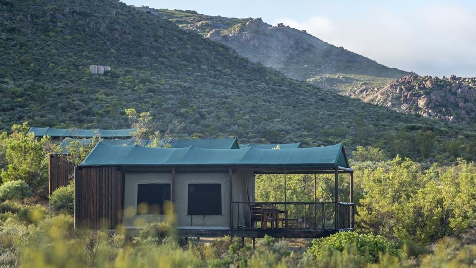Agama Tented Camp Garies Eksteriør billede