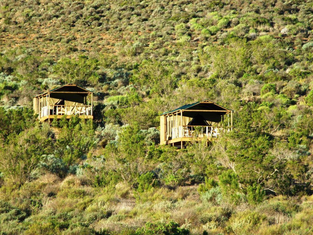 Agama Tented Camp Garies Eksteriør billede